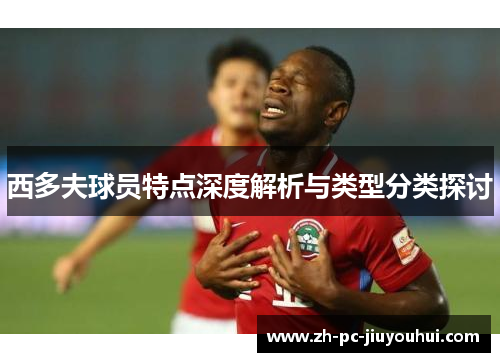 西多夫球员特点深度解析与类型分类探讨