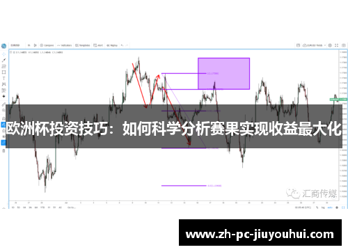 欧洲杯投资技巧：如何科学分析赛果实现收益最大化